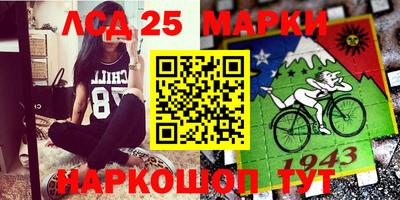 mdpv Ярославль