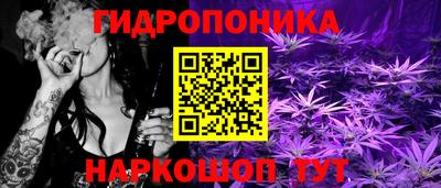 mdpv Ярославль