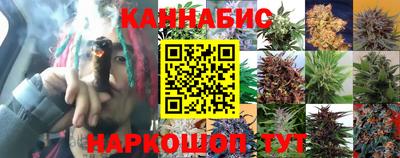 mdpv Ярославль