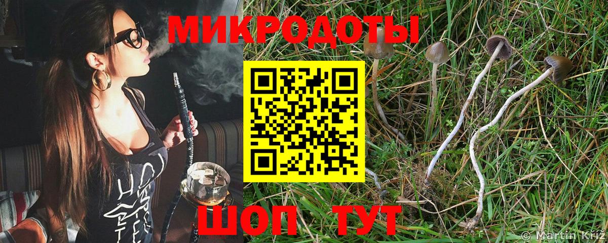 Псилоцибиновые грибы Cubensis Бердск